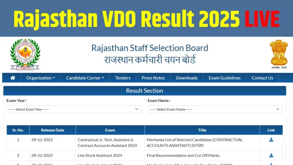 Rajasthan VDO Result 2025 Out